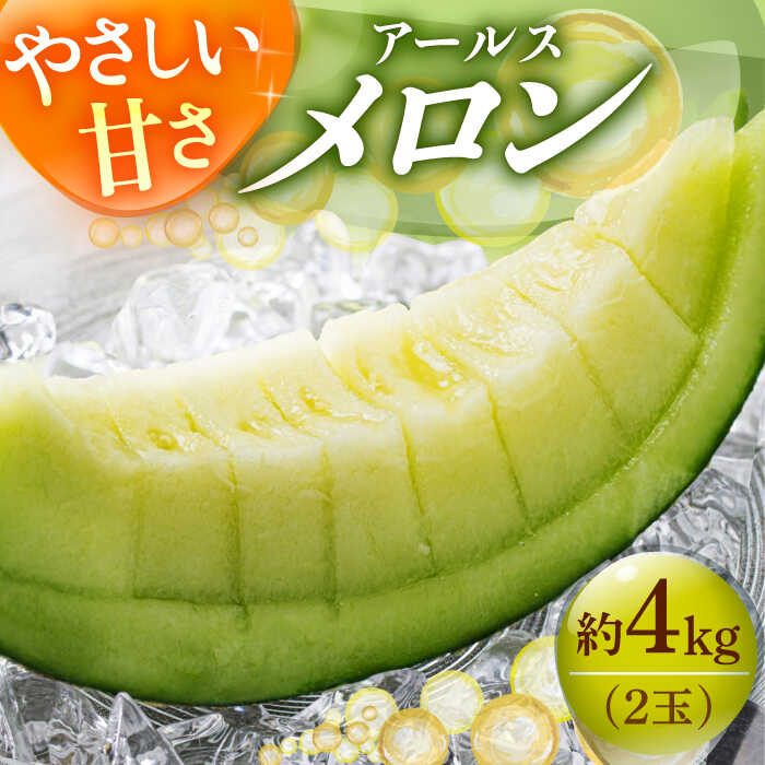 【ふるさと納税】【2025年 先行予約】アールスメロン 約4kg（2玉）果物 8月初旬順次発送 メロン マスク メロン 島 めろん メロン アールス メロン めろん 果物 フルーツ 五島列島《小値賀町》【ながさき西海農協小値賀地区園芸部会】[DAT002]