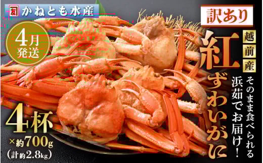 【訳あり】≪浜茹で≫越前産 紅ずわいがに 約700g × 4杯 食べ方しおり付【紅ズワイガニ カニ かに 蟹 姿 ボイル 冷蔵 福井県】【4月発送分】希望日指定不可 [e14-x002_04]