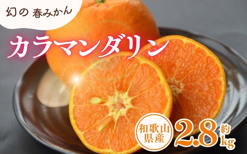 カラマンダリン 約2.8kg/サイズおまかせ　※2027年4月上旬〜2027年5月上旬頃に順次発送予定(お届け日指定不可)　紀伊国屋文左衛門本舗　【kstb471C】