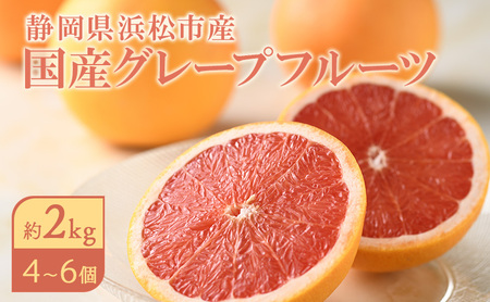 フルーツ グレープフルーツ約2kg 6個 国産 フルーツ