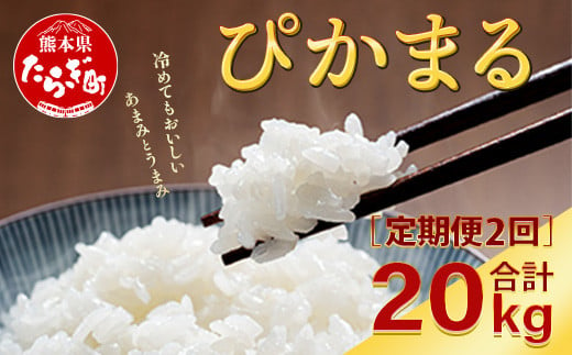 
【定期便２回】多良木町産 『ぴかまる』 ＜5kg×2袋＞×2回 計20kg【 定期便 定期配送 精米 お米 米 艶 粘り 甘み うま味 もちもち 熊本のお米 20キロ 熊本県 多良木町 】 044-0592
