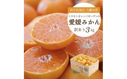 西宇和地区八幡浜産 愛媛みかん3kg＜訳あり＞＜B25-164＞【1509982】 YWTAP106
