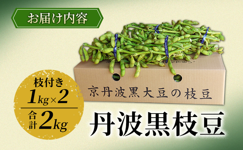 丹波黒枝豆　1kg（枝付き）×2 | 野菜 えだまめ えだ豆 おつまみ 京都府 南丹市