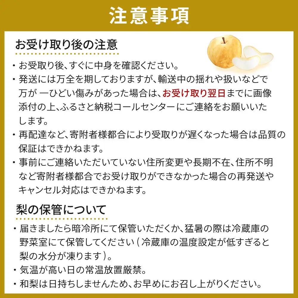 (訳あり) 旬の和梨　約３kg【吉川果樹園】 ｜ 梨  