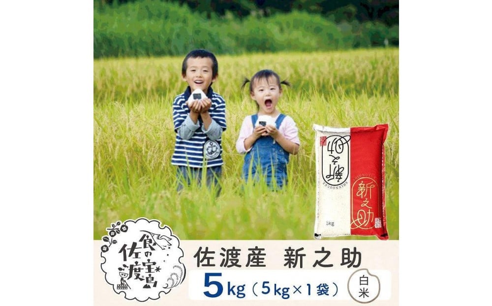 
                  佐渡島産 新之助 白米5kg×1袋
                