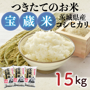 【令和7年産】茨城県産コシヒカリ 宝蔵米 15kg【お米 米 菊池 こしひかり つきたてのお米 食味ランキング特A評価 茨城県 水戸市】（CZ-1005）