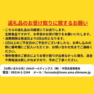 【お申し込みは5/17まで】【寄付額改定】いわがき春香 Sサイズ 3個｜海鮮 海産物 海の幸 シーフード 魚貝類 牡蠣 岩牡蠣 かき ブランド牡蠣 いわがき春香 生食 海士町