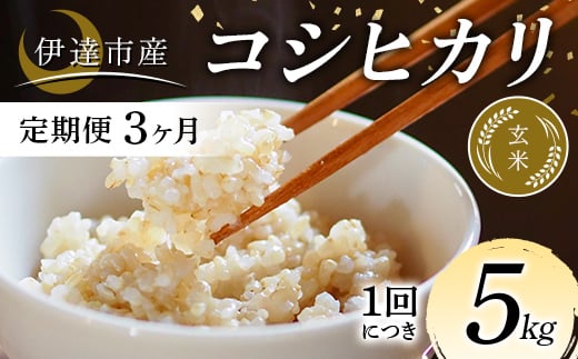 ＜定期便3ヶ月＞令和7年産米 伊達市産 コシヒカリ 玄米 5kg ご飯 ごはん ライス 伊達市 F21C-339