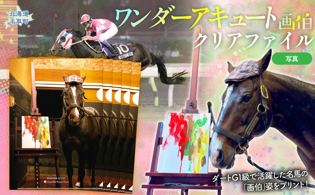 
                  【ワンダーアキュート画伯】クリアファイル5枚入り 【ふるさと納税 人気 おすすめ ランキング 馬 競馬 競走馬 引退馬 ワンダーアキュート クリアファイル ファイル 事務用品 文房具 生活 日高 北海道 平取町 びらとり 送料無料】 BRTV209
                