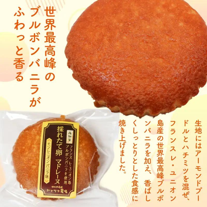 マドレーヌ モンレニオンバニラ 7個入 | バニラ はちみつ 蜂蜜 ハチミツ アーモンド 焼き菓子 お菓子 おかし 贈答用 ギフト 包装 スイーツ 人気 おすすめ たまご 卵菓子 高知県 南国市