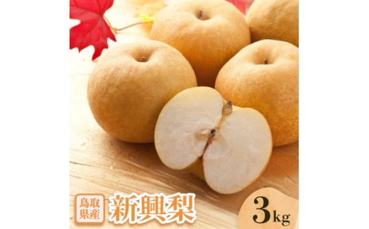 新興梨 3kg【1597669】
