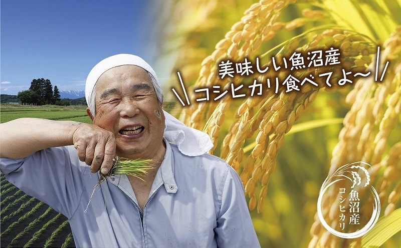 【無地熨斗】 魚沼産 コシヒカリ 2kg ×4袋 計8kg お米 こしひかり 新潟 （お米の美味しい炊き方ガイド付き） 精米 ご飯 ブランド米 銘柄米