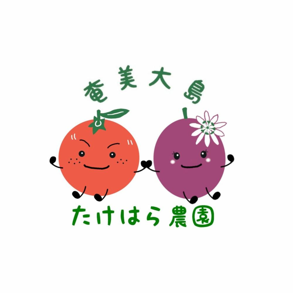 【2026年発送分 先行受付】パッションフルーツ バラ詰め2kg【たけはら農園】
