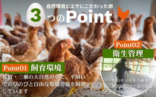 平飼いたまご 三瀬ひなた鶏舎 「壮健美卵」35個＋割れ保証5個（計40個）：B135-026