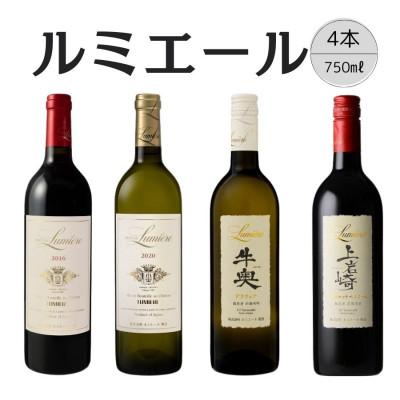ふるさと納税 笛吹市 ルミエール　おすすめ赤白ワイン4本セット【6】167-139