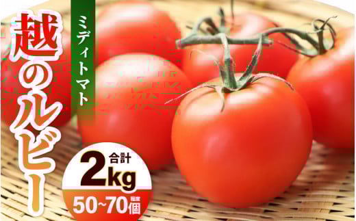 【先行予約】 三里浜砂丘地産 越のルビー（ミディトマト）甘くておいしい中玉トマト 約2kg 【2025年6月上旬以降順次発送予定】 【トマト とまと 中玉とまと リコピン 豊富 野菜 生野菜 甘い 高糖度 産地直送 国産】 [A-19202]