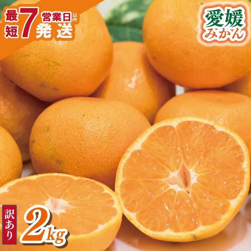 【みかん】訳あり 愛媛みかん 2kg | 愛媛県 松山市 【VEG1051】