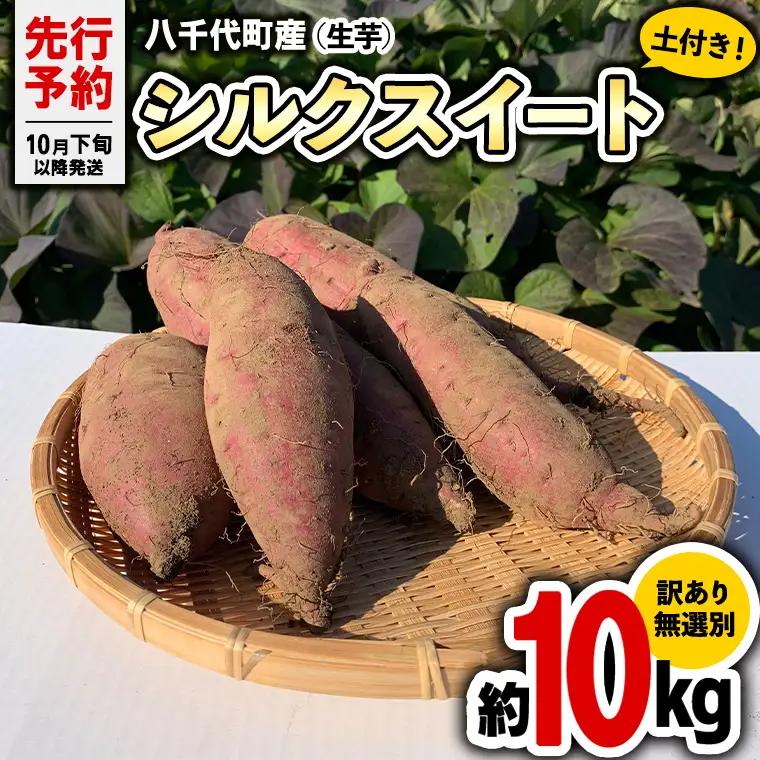 さつまいも シルクスイート 訳あり 約10kg サツマイモ