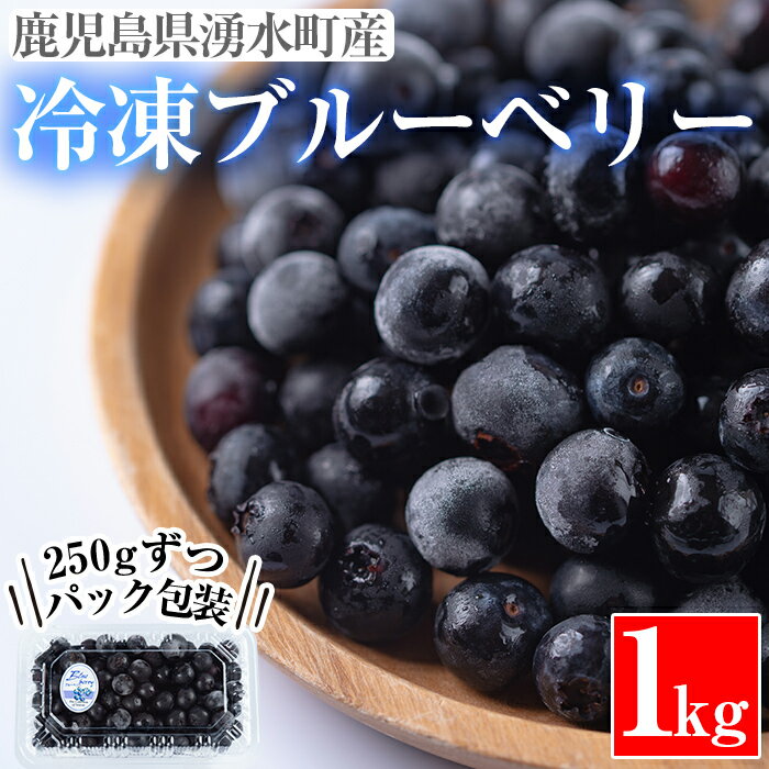 【ふるさと納税】《数量限定》湧水の冷凍ブルーベリー(1kg) 冷凍 国産 九州産 鹿児島県産 くだもの 果物 フルーツ シャーベット ジャム フローズン ベリー おやつ デザート【神田茶園】