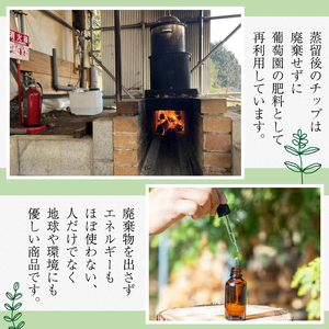 ボディソープヒノキ 250ml 京都産天然ヒノキ精油 ボディソープ 森の精油所 デオドラント効果 パラペンフリー 合成着色料フリー 合成香料フリー 鉱物油フリー サルフェートフリー シリコーンフリー 