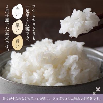 ふるさと納税 越前町 令和8年産　ハナエチゼン(精米)　3kg |  | 01