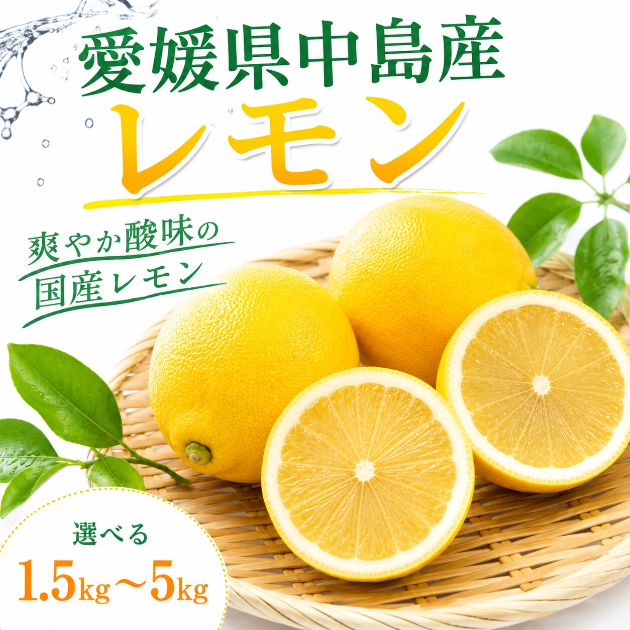 【ふるさと納税】 【2026年11月上旬頃から順次発送】愛媛県産中島産レモン 1.5kg 2.5kg 5kg　サイズSーL　レモン 国産 れもん イエローレモン 檸檬 ビタミン 果物 柑橘 愛媛県 松山市