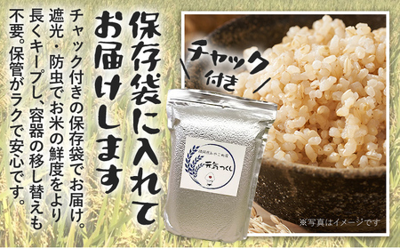 定期便 玄米 米 令和8年産 元気つくし（玄米） 5kg 3回定期便 チャック付き チャック 防虫 ごはん おにぎり おやつ 福岡県 みやこ町産 福岡 九州 グルメ お取り寄せ