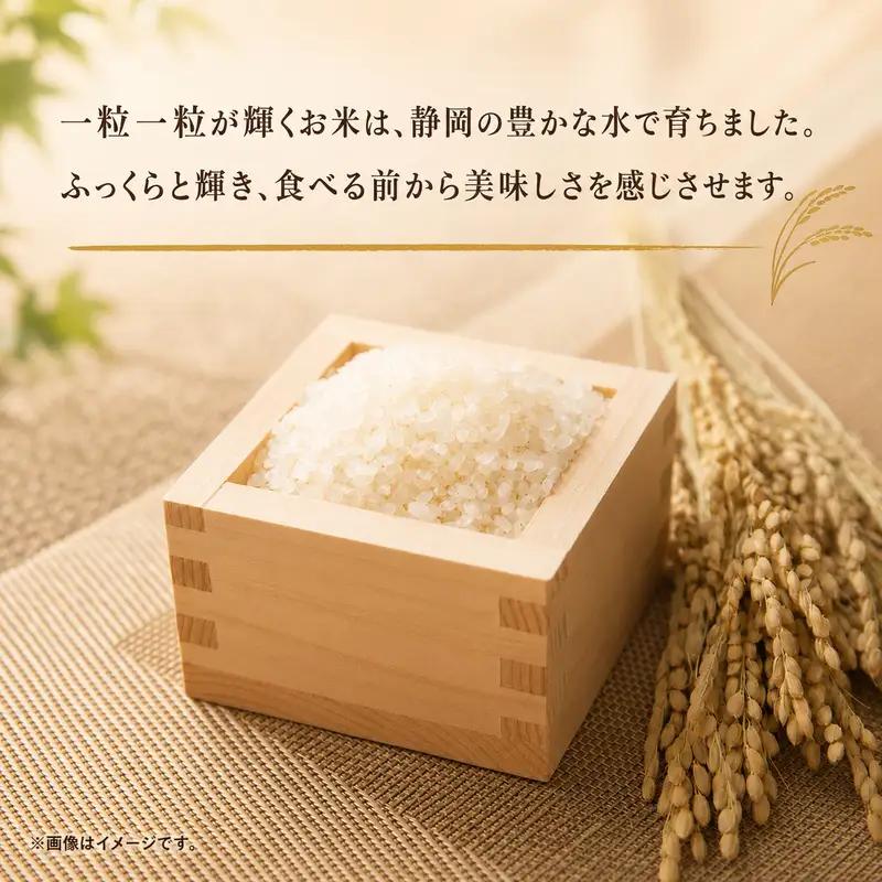 きぬむすめ 精米 白米 静岡県産 きぬむすめ【20kg(5kg×4)】