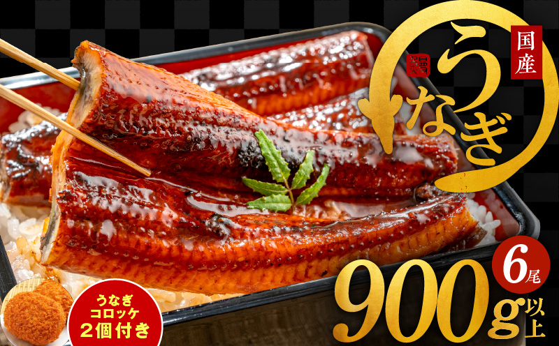 国産うなぎ 6尾 900g以上 うなぎコロッケ 2個付き【訳あり サイズ不揃い えびす鰻 うなぎ ウナギ 国産 泉佐野産 蒲焼き かばやき 惣菜 冷凍 うな重 ひつまぶし 惣菜 先行予約】
