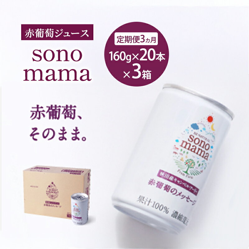 【ふるさと納税】《 定期便 3ヵ月 》 赤葡萄ジュース「sonomama」（160g×20本）×3箱 ぶどう ブドウ ジュース ぶどうジュース 飲料