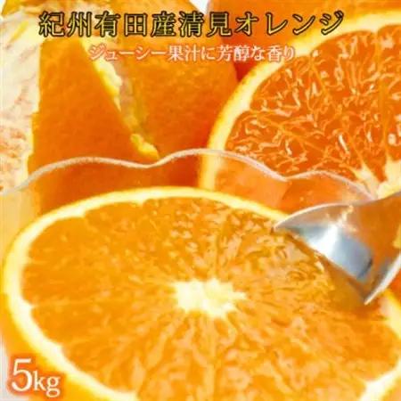 【2027年4月より発送】とにかくジューシー清見オレンジ　5kg【日高町】【1216976】