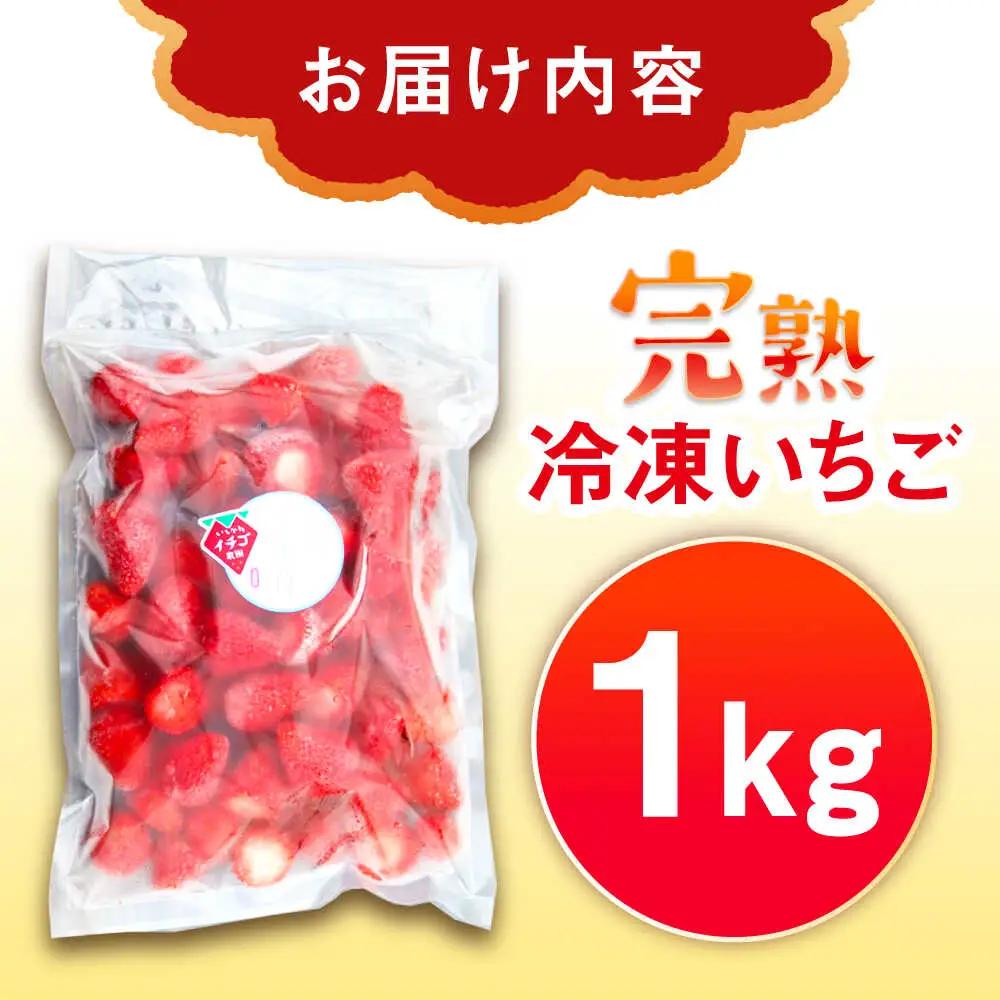 冷凍いちご 1kg / 恵那市 / クリエイティブファーマーズ [AUAH023]
