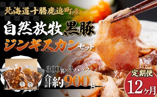 【定期12ヶ月】鹿追産 自然放牧黒豚ジンギスカンセット 【 ふるさと納税 人気 おすすめ ランキング 黒豚 黒豚肉 豚肉 肉 豚 ジンギスカン 豚ジンギスカン 黒豚ジンギスカン 北海道 鹿追町 送料無料 】 SKN037