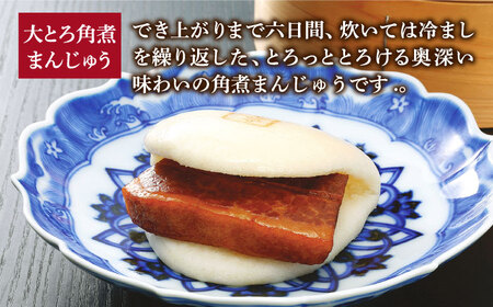 【全3回定期便】 月替り！ 角煮まんじゅう 2種 お楽しみセット （角煮まんじゅう10個・大とろ角煮まんじゅう10個）≪小値賀町≫ 【岩崎本舗】[DBG063]