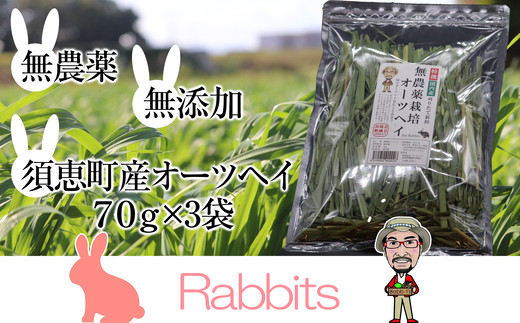 ペットフード うさぎ 無農薬栽培 特選 オーツヘイ 70g 3袋 計210g | うさぎ うさぎ用 ウサギ 兎 usagi ごはん おやつ オヤツ えさ エサ 餌 うさぎの餌 ウサギの餌 うさぎ用おやつ ウサギ用おやつ うさぎのおやつ ウサギのおやつ 兎のオヤツ うさぎのオヤツ ウサギのオヤツ 兎のオヤツ ペット用品 福岡県 須恵町 ラビッツ R21600101