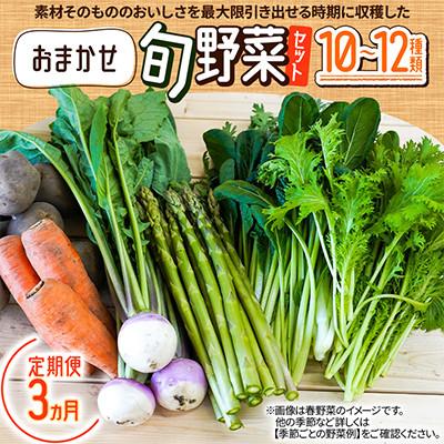 ふるさと納税 北広島市 【毎月定期便】おまかせ旬野菜セット　10〜12種類全3回