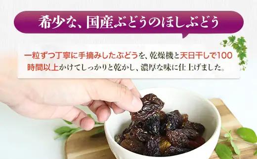 ほしぶどう 40g×10袋  国産 ドライフルーツ 無添加 保存食  食物繊維 鉄分 おやつ おつまみ