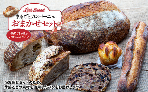 
【定期便3か月】　Lee's Breadまるごとカンパーニュおまかせセット　天然酵母パン　ハード系ブレッド　カンパーニュ　期間限定受付　配送地域限定
