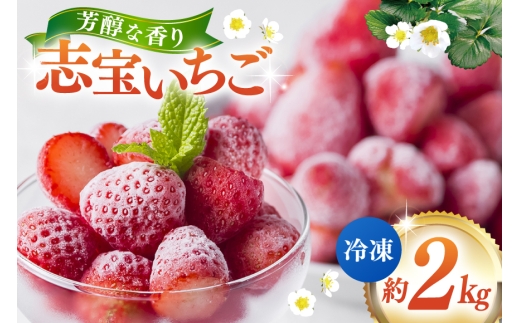 いちご 冷凍志宝いちご 約 2kg [モアショップヤマモト 石川県 宝達志水町 38601348] イチゴ 苺 フルーツ 果物 果実 甘い あまい 冷凍いちご 冷凍苺 冷凍イチゴ 冷凍フルーツ