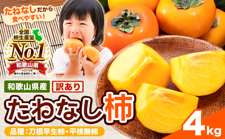 【先行予約】【ご家庭用/訳あり】たねなし柿 約4kg《2026年9月中旬-11月上旬頃より出荷予定》 和歌山県 紀の川市 柿 カキ かき ジューシー フルーツ