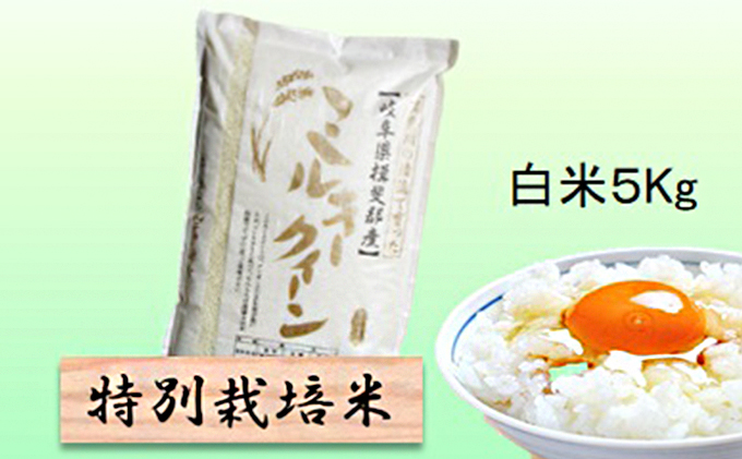 特別栽培米★白米５kg 【ミルキークイーン】 お米 ブランド米 銘柄米 精米 ご飯 おにぎり モチモチ 低アミロース米 冷めても美味しい 