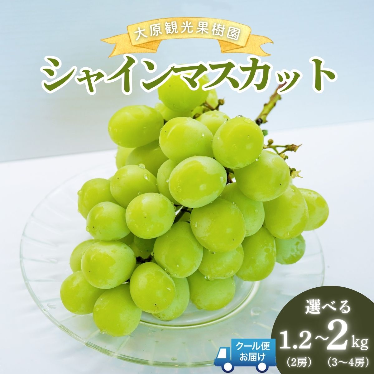 【ふるさと納税】＜選べる容量＞【2026年先行予約】［大原観光果樹園］シャインマスカット2房（約1.2kg）　or　3～4房（約2kg）