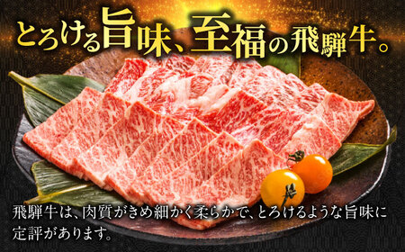 【12回定期便】 飛騨牛 切り落とし 1kg（250g×4P）すき焼き 焼肉 小分け 岐阜市 / 丸福商店[ANBO050]