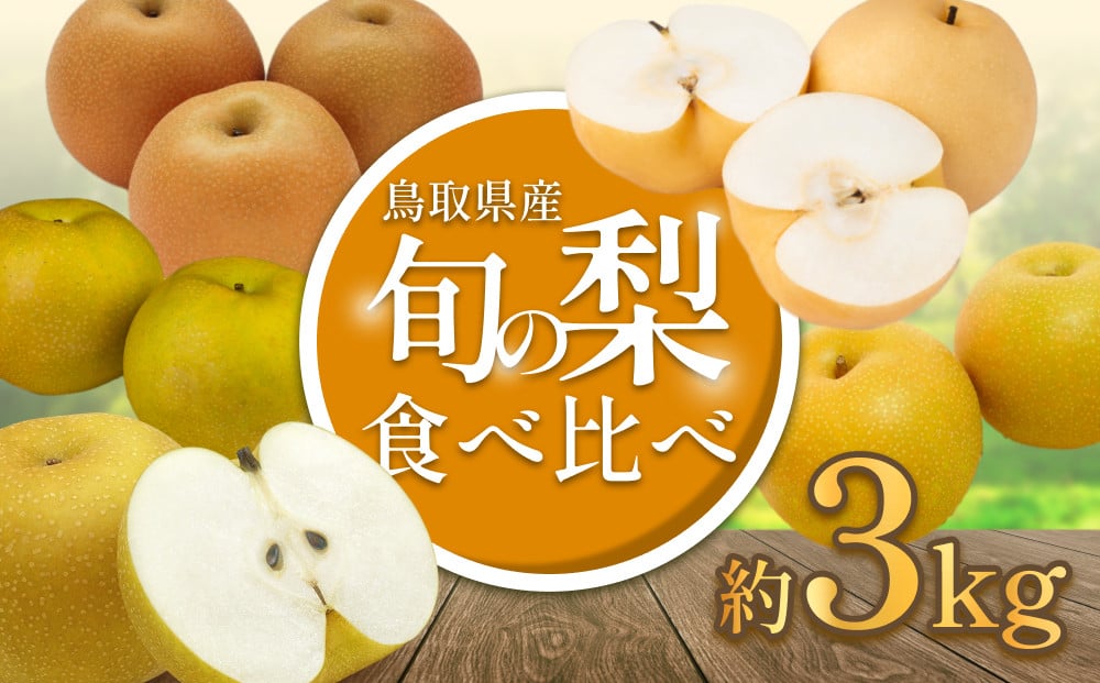 
            先行予約 品種はおまかせ2種類 旬の梨ミックス 3kg ※発送は１０月以降｜鳥取 果物 くだもの フルーツ なし 梨 旬 和梨 二十世紀梨 新甘泉 秋甘泉 王秋 数量限定【41042】
          