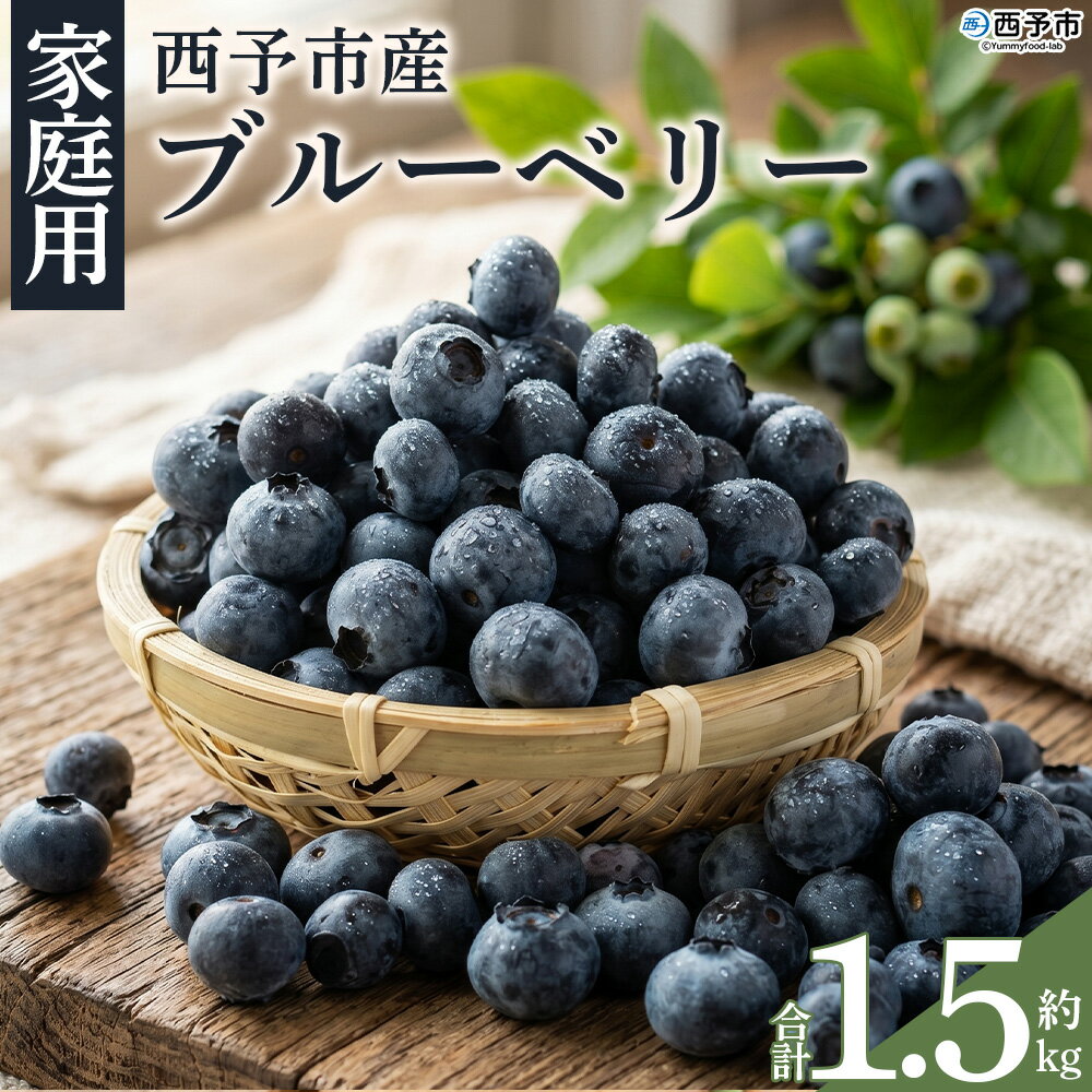 【ふるさと納税】＜愛媛県西予市産 ブルーベリー ご家庭用 合計約1.5kg＞『8月中旬～順次出荷予定』訳あり 果物 フルーツ くだもの 生ブルーベリー 旬 フレッシュ 甘酸っぱい 実 ヨーグルト ご自宅 お取り寄せ 国産 デザート 宇都宮物産 愛媛県 西予市 【冷蔵】