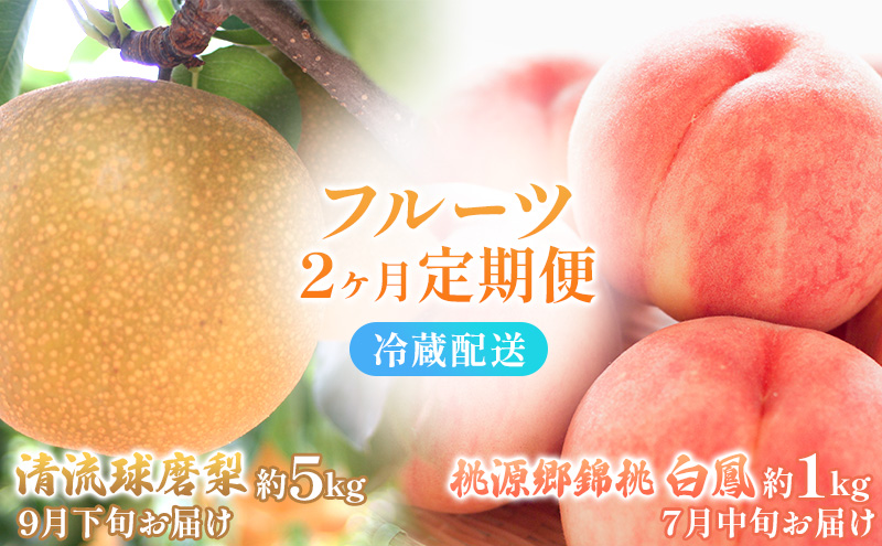 定期便 2回 先行予約 【 桃 白桃 7月頃 梨 9月頃 】白鳳 特製桃源郷錦 約1kg、清流錦梨 約5kg もも モモ なし フルーツ 果物 デザート お楽しみ 2026年発送 配送不可:離島 