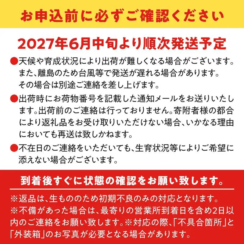【2027年先行予約】紫の宝石！ファーム白川のパッションフルーツ 12個 C032-004 果物 フルーツ