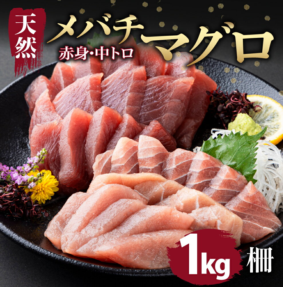【ふるさと納税】【天然まぐろ】 中トロ・赤身　柵 1kgセット(100g×10pc)　サク さく メバチ 目鉢 マグロ 鮪 まぐろ 100% 冷凍 刺身 海鮮 丼 刺し身 小分け 高知 室戸 19000円 tk088