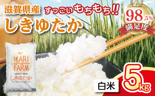 【新米】【7年産】すっごいもちもち 「しきゆたか」 白米【5kg】【C002W】