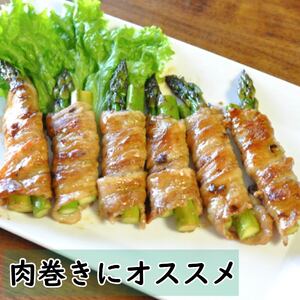 国産豚肉 瀬戸風ポーク 五明農場 ふれ愛・媛ポーク モモスライス 肩（ウデ）スライス 3.2㎏ ③【SC014】